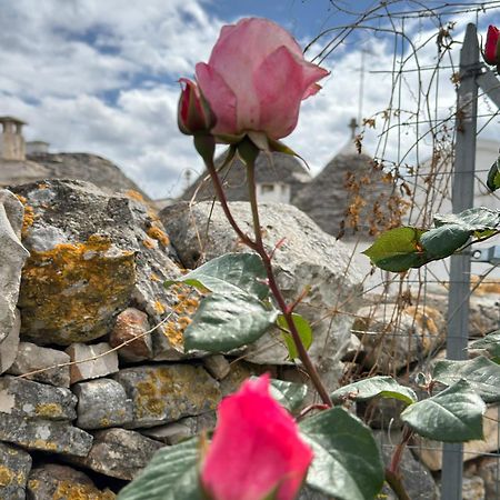 Trulli Resort Aia Piccola Alberobello Eksteriør bilde