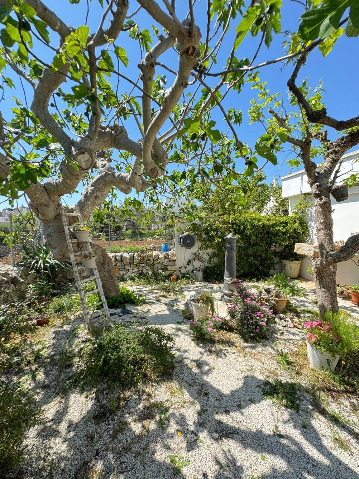 Trulli Resort Aia Piccola Alberobello Eksteriør bilde