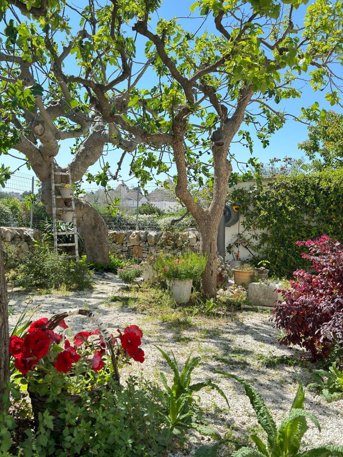 Trulli Resort Aia Piccola Alberobello Eksteriør bilde