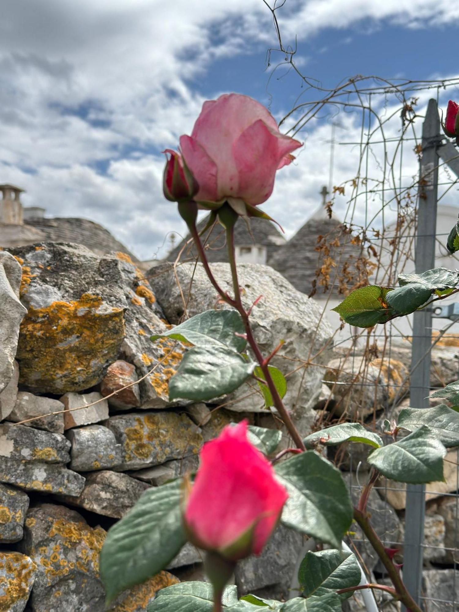 Trulli Resort Aia Piccola Alberobello Eksteriør bilde
