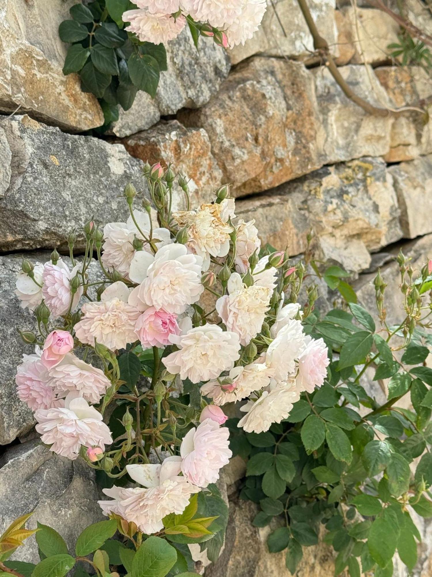 Trulli Resort Aia Piccola Alberobello Eksteriør bilde